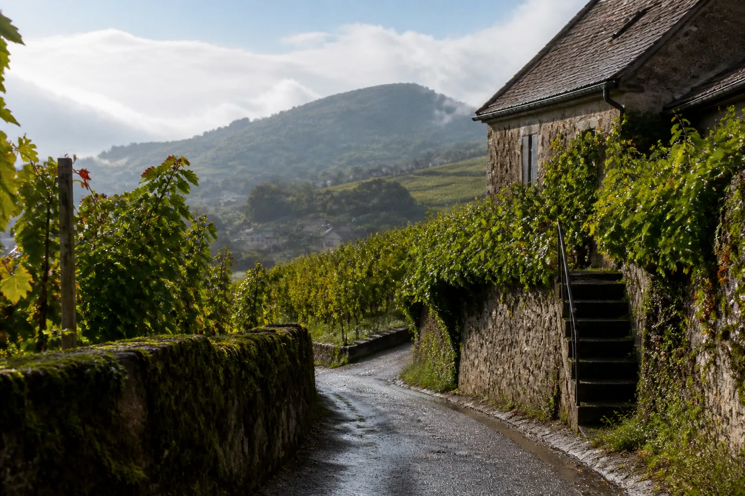 Au-delà de la Champagne : 7 vignobles confidentiels à découvrir avant tout le monde